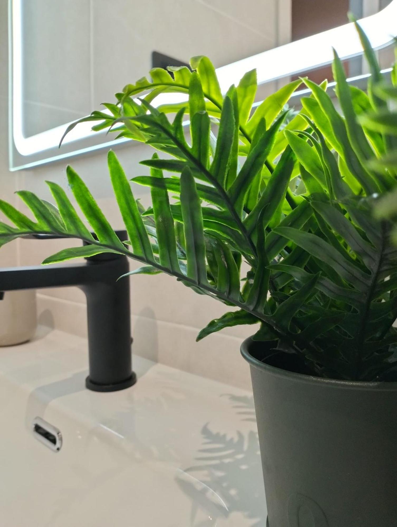 Apartamento Verdemare Corralejo Luaran gambar